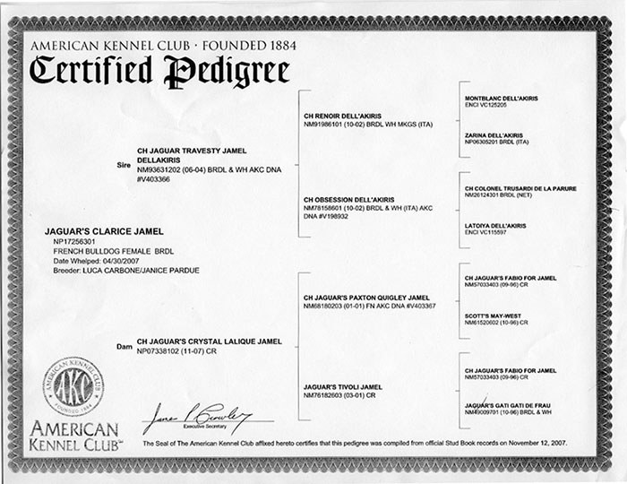 Clarice Pedigree