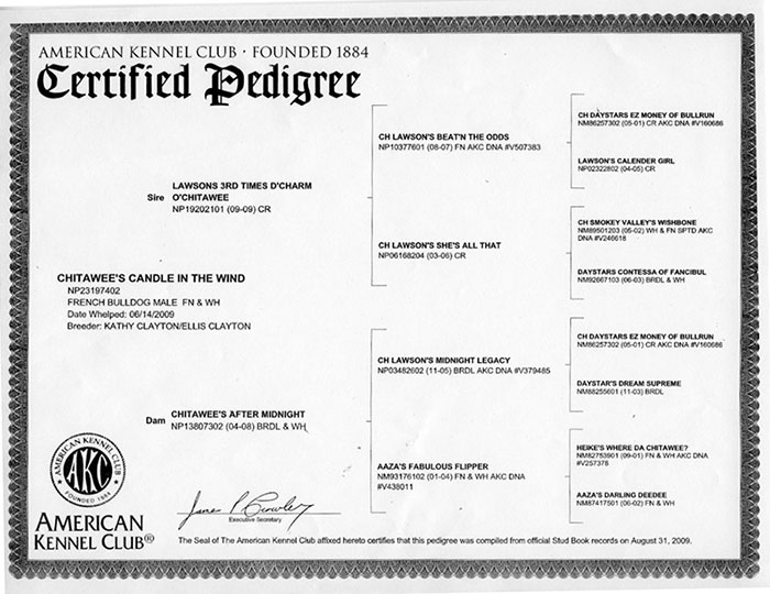 Henri Pedigree
